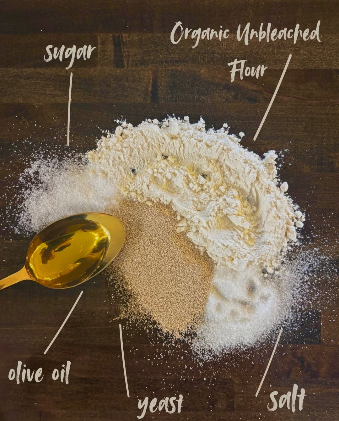 Flour, yeast, sugar, salt and olive oil used for C&O bagels
